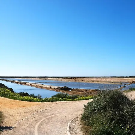 Amazing Windmillhouses Villa