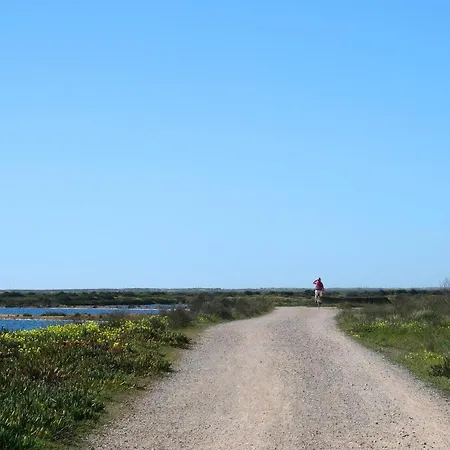 Amazing Windmillhouses *