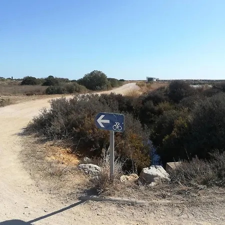 Amazing Windmillhouses