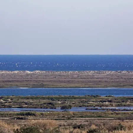 Amazing Windmillhouses 빌라 *